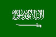 Saudi%20Arabian%20Riyal%20(SAR)